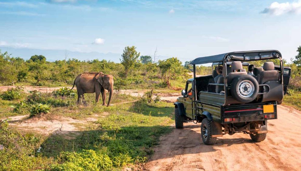Cauvery Wildlife Sanctuary